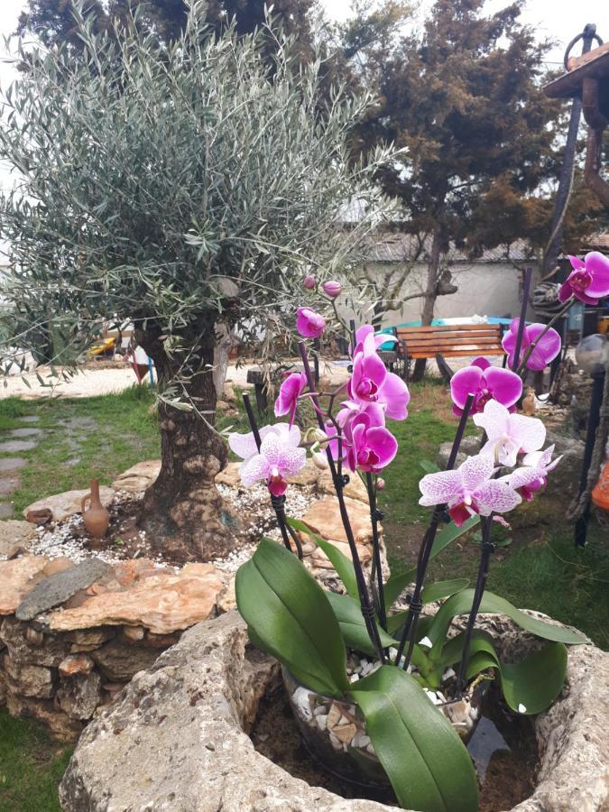 Hotel La Doi Pasi De Mare Vama Veche Esterno foto