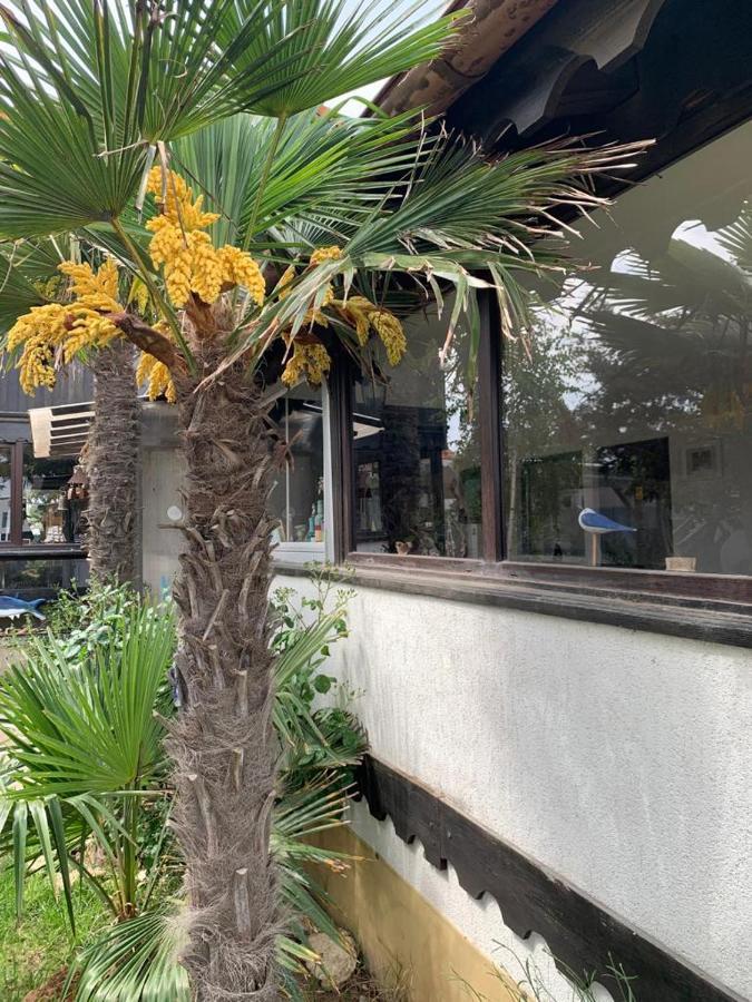 Hotel La Doi Pasi De Mare Vama Veche Esterno foto